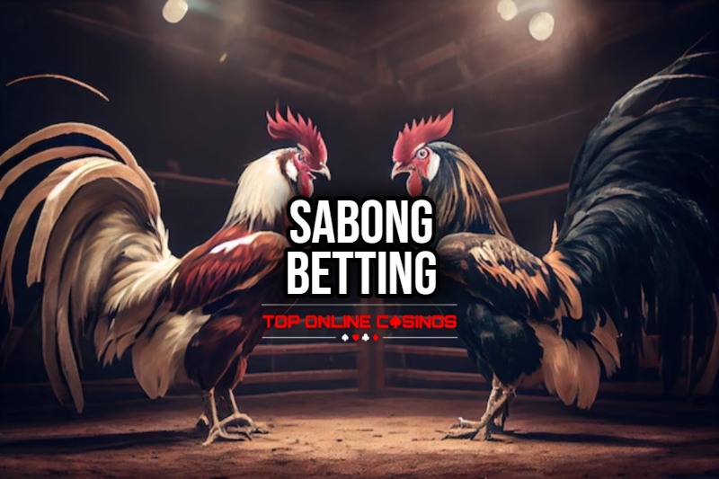 How to Bet on Sabong